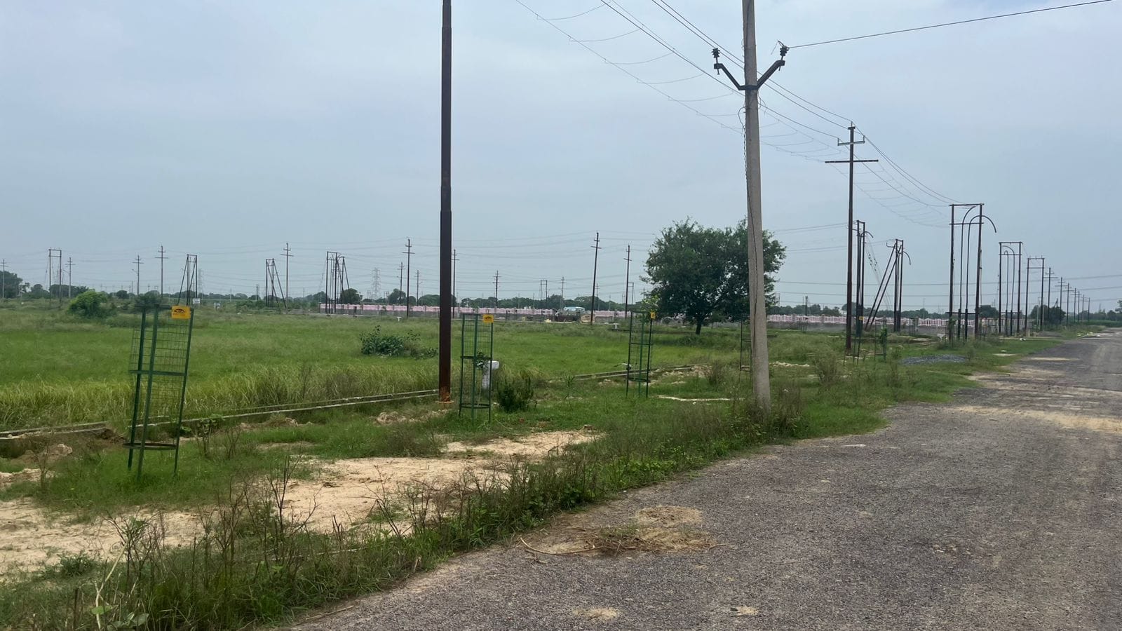 Roads & electricty poles, but no sign of factories | Udit Bubna | ThePrint