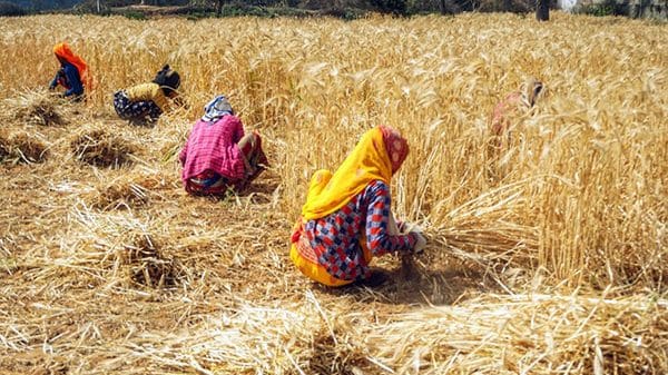 Representational image