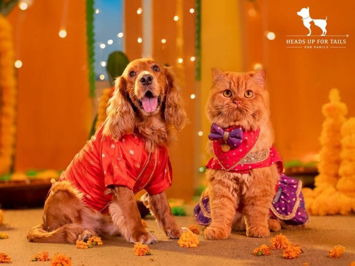 HUFT Launches 'Dil Se Desi' -- A Festive Collection That Celebrates Pets as Family