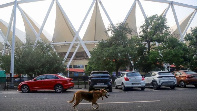 Foreign coaches bitten at JLN: Did MCD ignore a ‘routine procedure that ensured 0 dog bites in 40 yrs’
