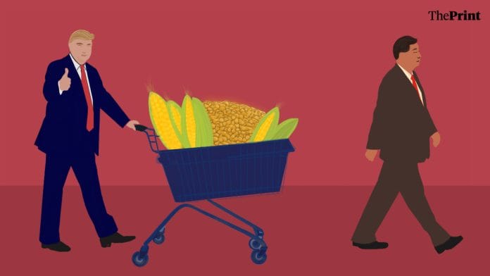 Illustration by Shruti Naithani/ThePrint