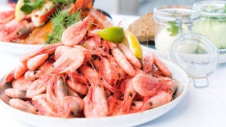 Andhra Pradesh can be big gainer amid Trump tariffs as Australia opens door to prawn imports