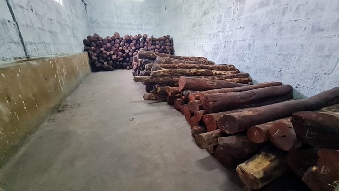 File photo of red sandalwood worth Rs 4.5 cr seized in Bengaluru in August 2021 | ANI