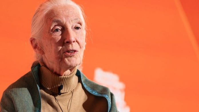 Jane Goodall speaks during the annual Bloomberg Philanthropies Global Forum in Manhattan, New York City on 24 September 2025. | Caitlin Ochs | Reuters