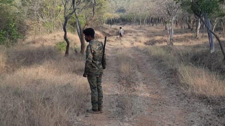 Karnataka sanctuary sees sixth tiger death this year. High-level probe ordered