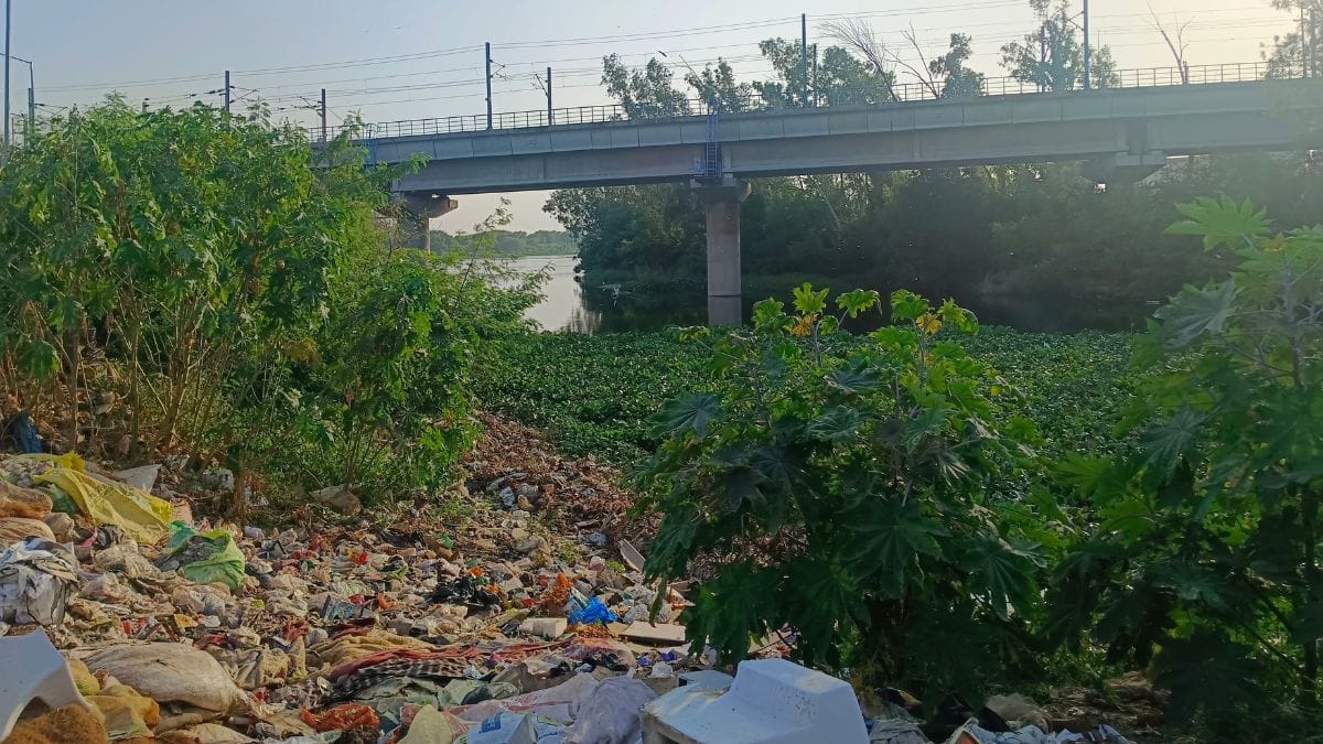 Najafgarh drain covered with garbage and waste in Dwarka / Almina khatoon