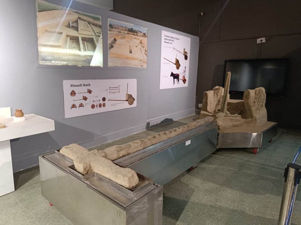 Sinauli chariot at the national museum