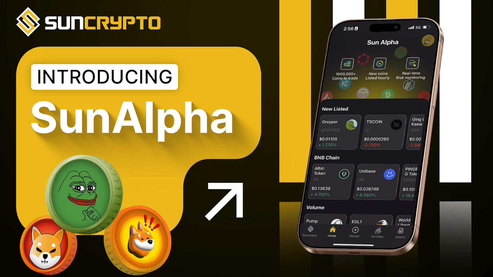 Alpha network crypto (83) 사진