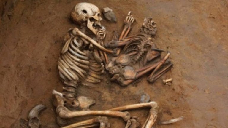 The case of the vanishing Harappan DNA—before famous Rakhigarhi genome, a botched dig
