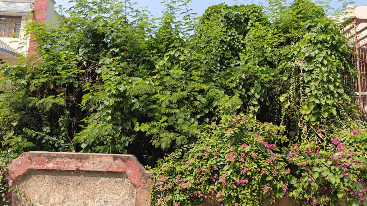 D-5, the Pandher house in Nithari, Sector 31, in Noida | ThePrint