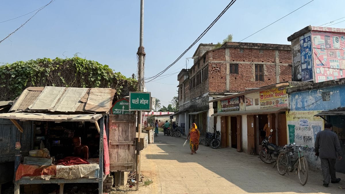 A signboard of Pali village notes 1,500 voters and 15 wards. It follows the caste‑based tola system, like countless other villages in Bihar. Photo: Jyoti Yadav, ThePrint
