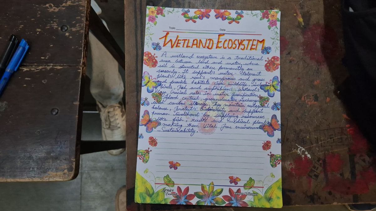 EVS assignment of a first year economics (hons) student | Shubhangi Misra | ThePrint