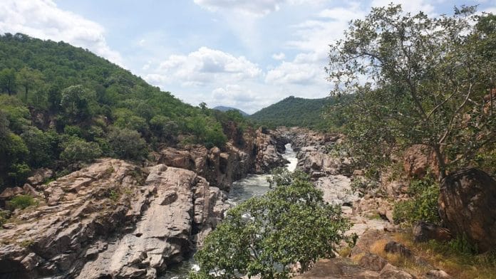 The might Cauvery flows through the Mekedatu gorge which is just 5 to 7 ft apart. | Tejus RS | ThePrint
