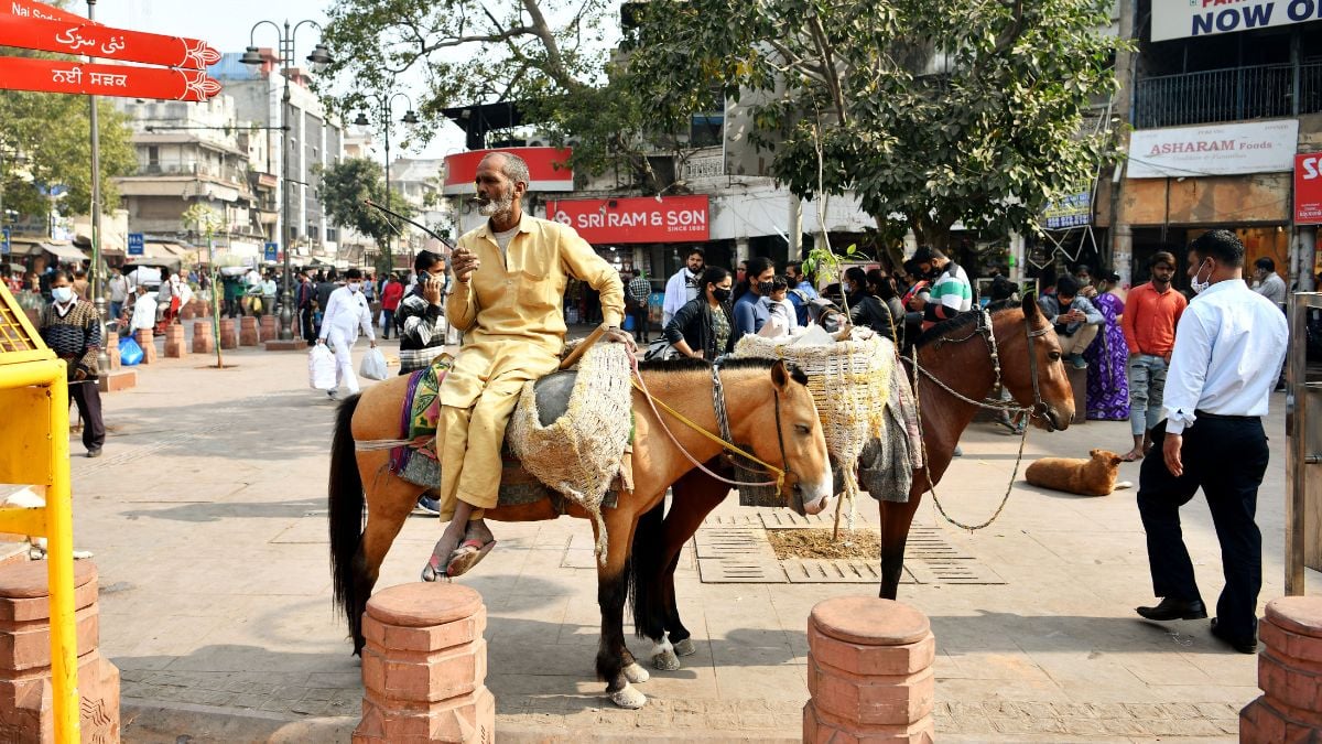 Pune donkey incident is another reminder Indians hand out medieval treatment to animals