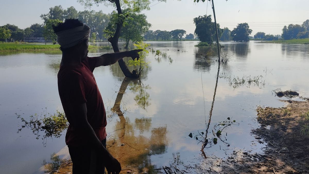 Inundated agricultural fields in Punjab after the Beas floods | Soumya Pillai, ThePrint