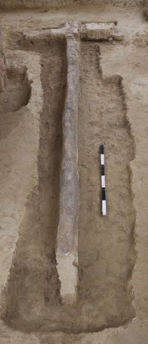 A photo of a pole and yoke with copper inlays found in Burial Pit 3 at Sinauli | Photo courtesy of ASI