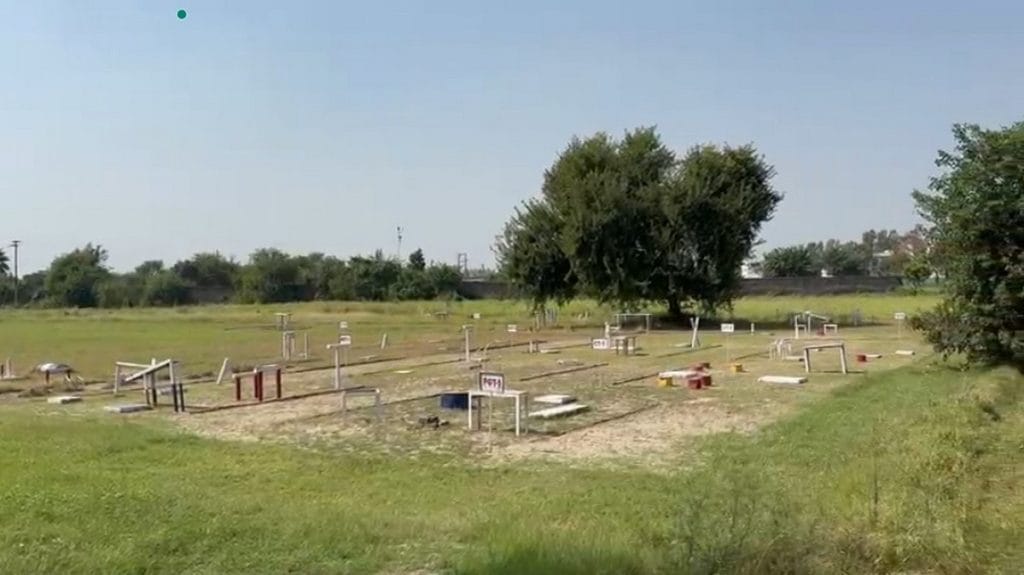 Group Progressive Task course