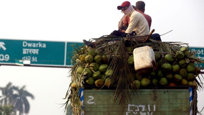 Gujarat coconuts