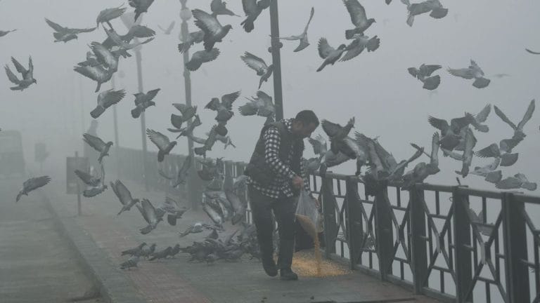 Kashmir tourist’s smog-fog confusion is natural. We’ve forgotten what clean air looks like