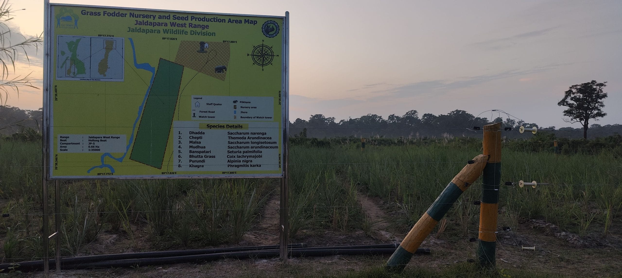 Scenes from the Jaldapara National Park safari | Photo: Soumya Pillai, ThePrint