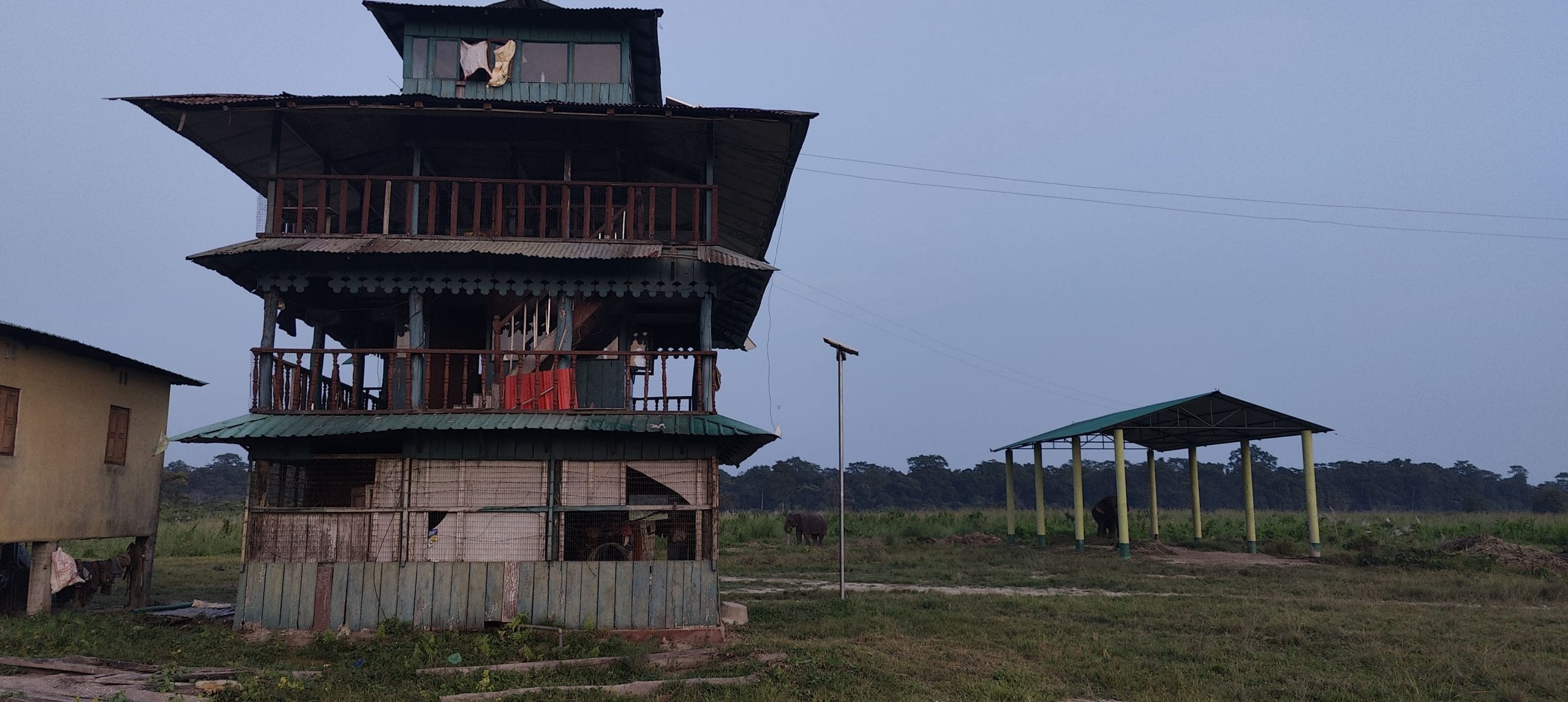 An observation decks at the Jaldpara National Park, several of which have been set up for surveillance.