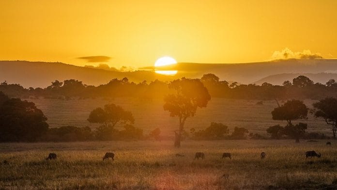 Representational | File photo of Maasai Mara | Wikimedia Commons