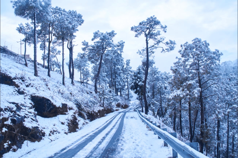 Binsar in Winter: Experience the Scenic View of the Hills