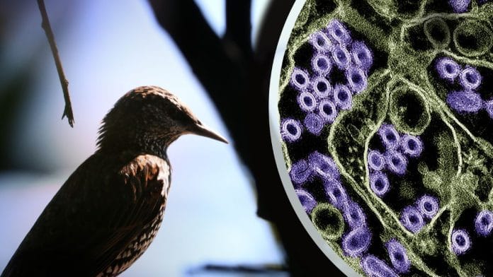 Representational image | Commons