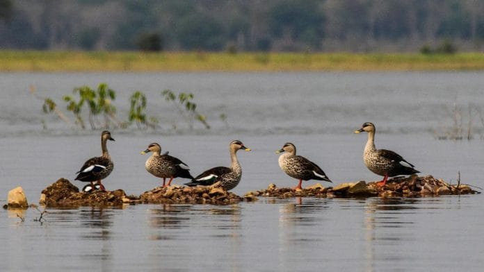 First Ramsar Site of Chhattisgarh | Finology Legal