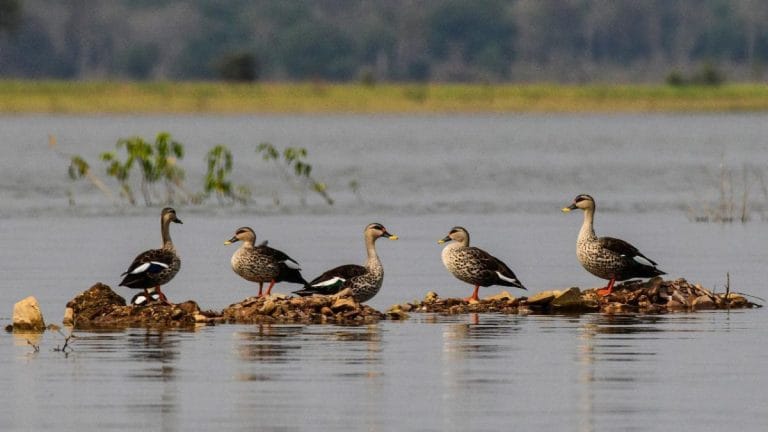 Chhattisgarh has its first Ramsar site now. What this means