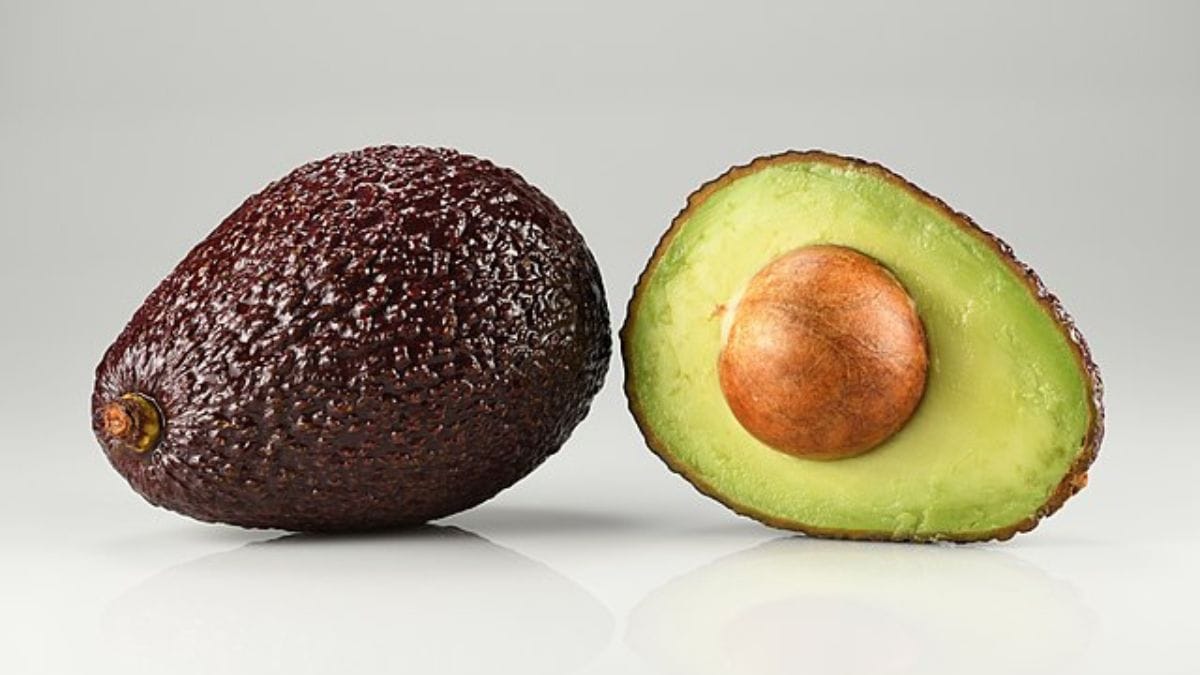 Avocado
