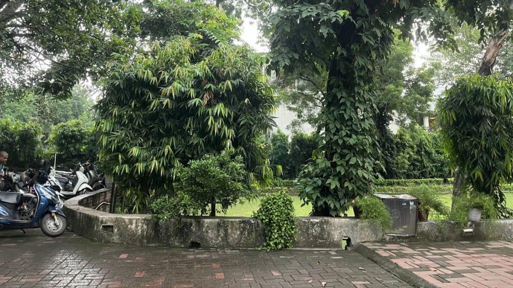 The garden at CSDS, where many discussions take place. It's a symbol of its freewheeling environment and rigour | Antara Baruah, ThePrint
