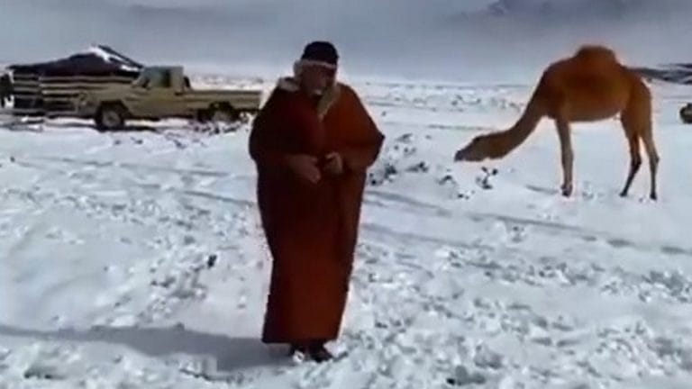 It’s snowing in Saudi Arabia. What caused the 1st snowfall in 30 years and –4°C desert cold?
