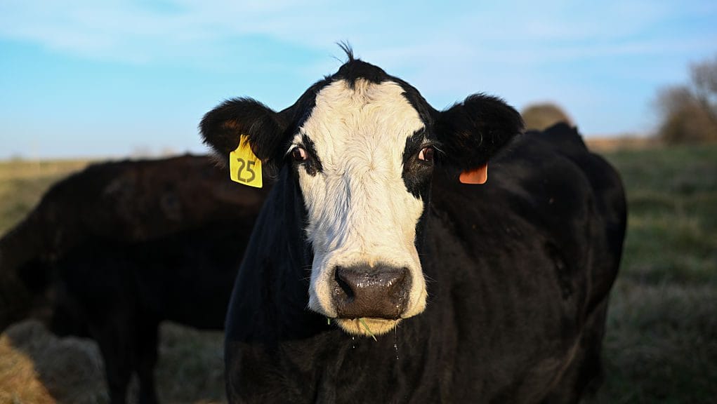 How Technology Could Transform Our Ethical Relationship w...