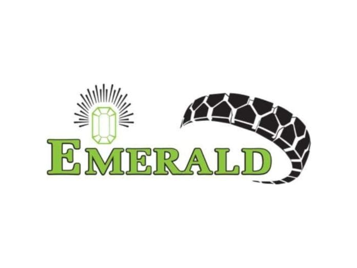 Emerald Tyre - An Indian Tyre Manufacturer Plans To Acquire 65% Stake In A South African Tyre Company To Expand Its Volumes In US Market
