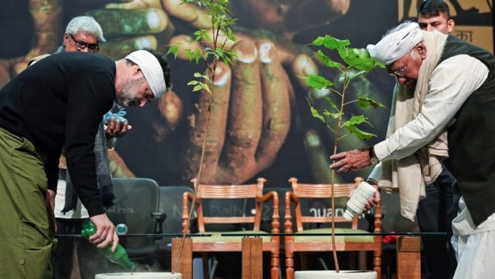 Rahul Gandhi, with Congress president Kharge, plants sapling during National MGNREGA Workers’ Convention at Jawahar Bhawan in New Delhi on 22 January 2026 | ANI