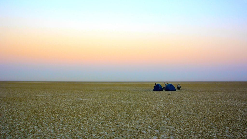 Sambhar Lake's Decline and Conservation Challenges