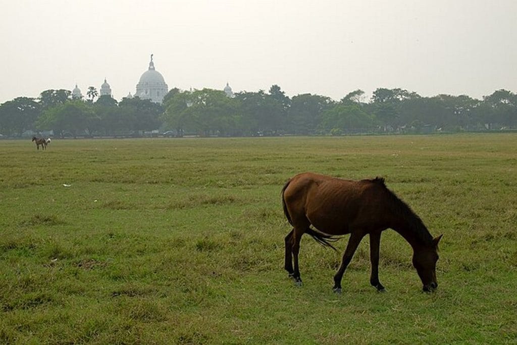 Kolkata Maidan