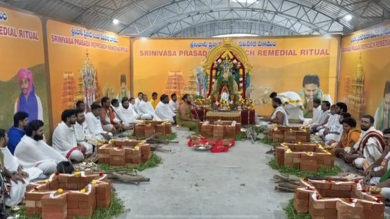 YSRCP on offensive after SIT finds no proof of animal fat in Tirupati laddu ghee, Naidu apology sought