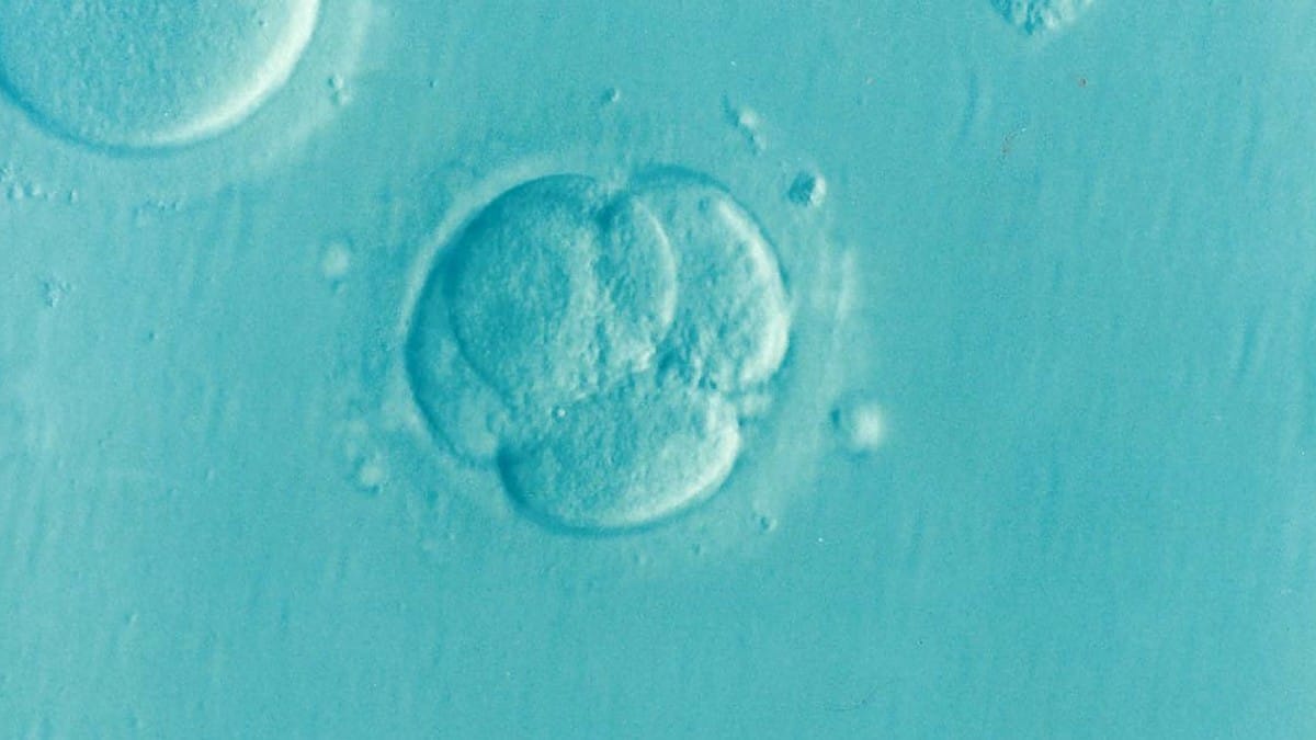 Embryo adoption curbs arbitrary? Centre’s response sought after IVF specialist moves Delhi HC, again