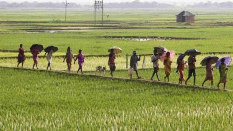 India’s pulses, maize and cereal yields remain below global averages, says economic survey