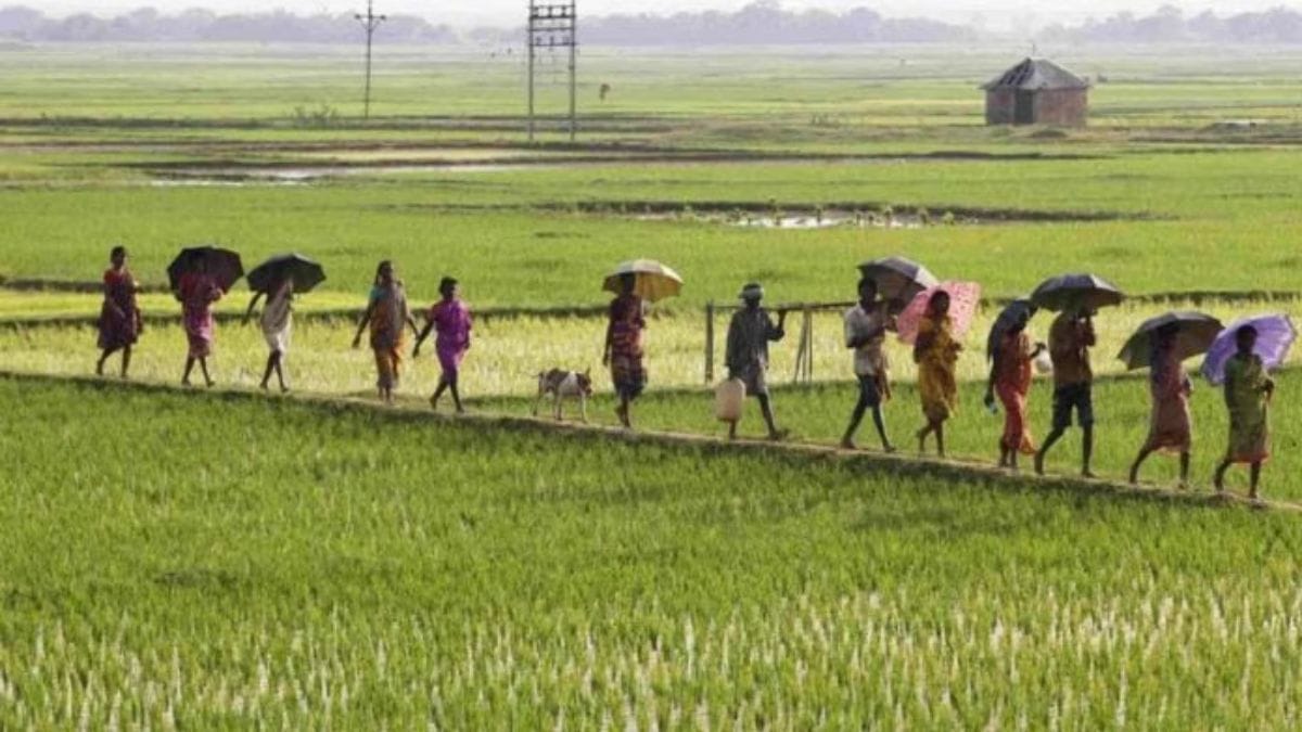 India’s pulses, maize and cereal yields remain below global averages, says economic survey