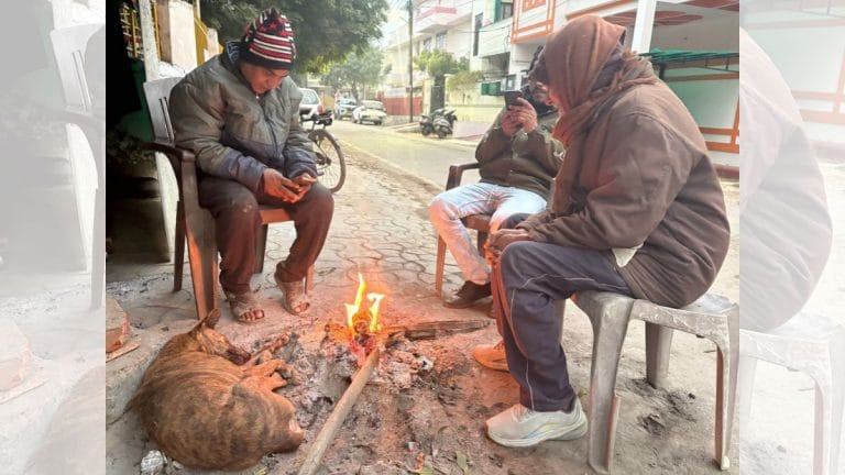 Supreme Court’s order on dogs goes against Modi’s decolonisation agenda