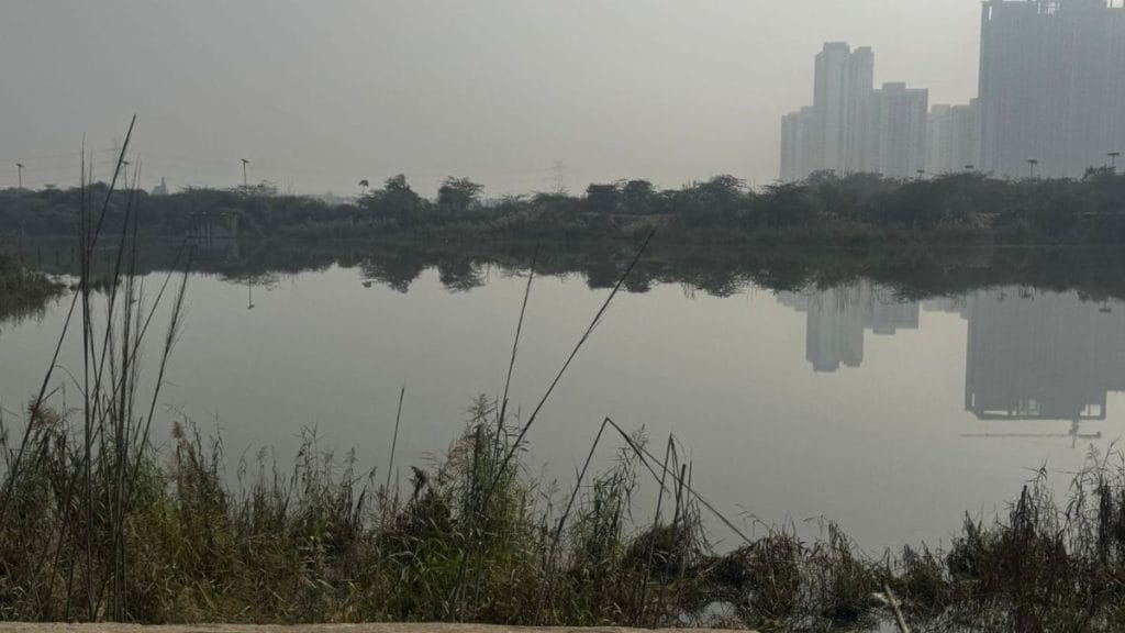 The ditch in which Yuvraj Mehta, the 27-year-old techie from Noida, drowned | Sagrika Kissu, ThePrint