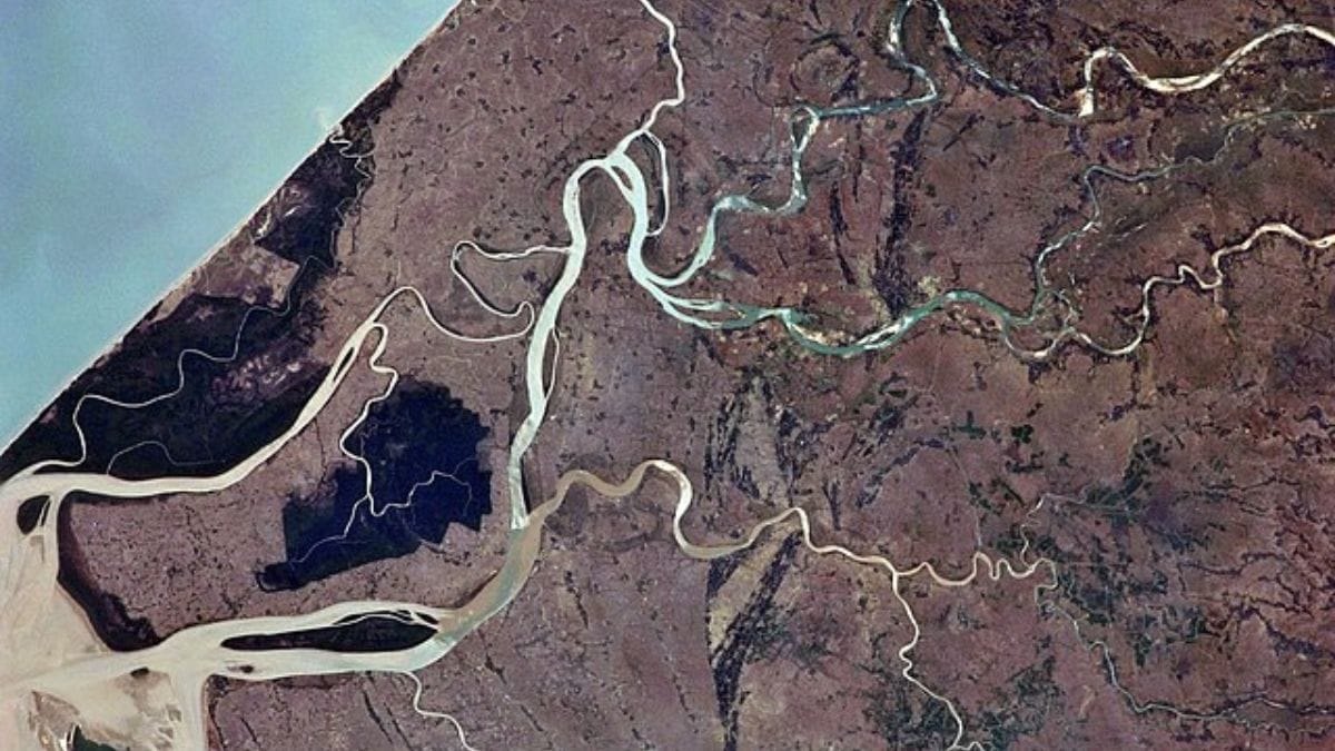 India is home to fastest-sinking river deltas, study shows. What it means for Brahmani, Mahanadi
