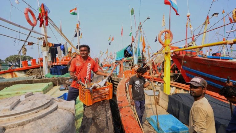 Gujarat’s surprise hilsa boom feeds Bengal’s most prized appetite