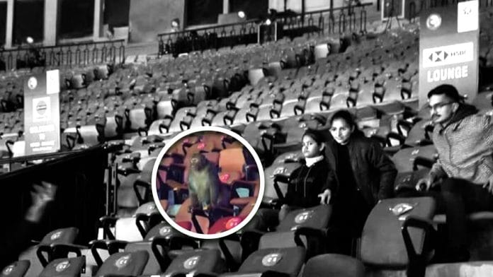 Photograph of the monkey at the stands have been widely circulated on social media | X