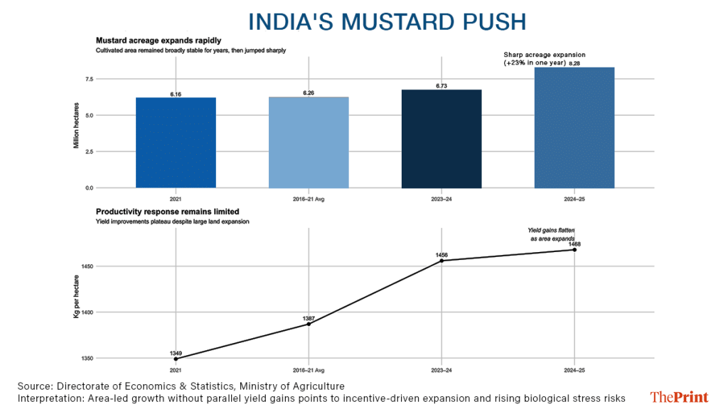 The chart makes visible what policy often misses Graphic: Sonali Dub, ThePrint