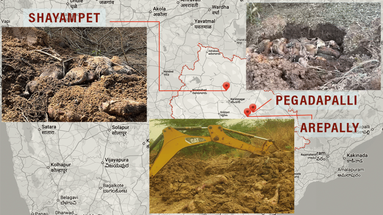 It’s not just Warangal NIT. Dogs dragged, sedated & buried by ‘hired squads’ across Telangana villages