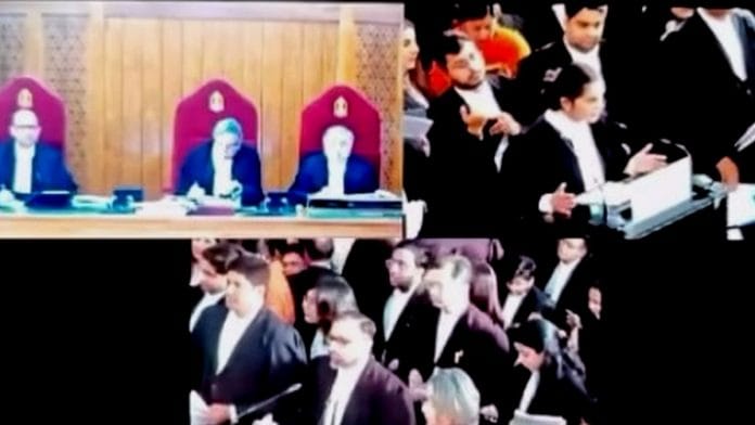 stray dogs and orphans